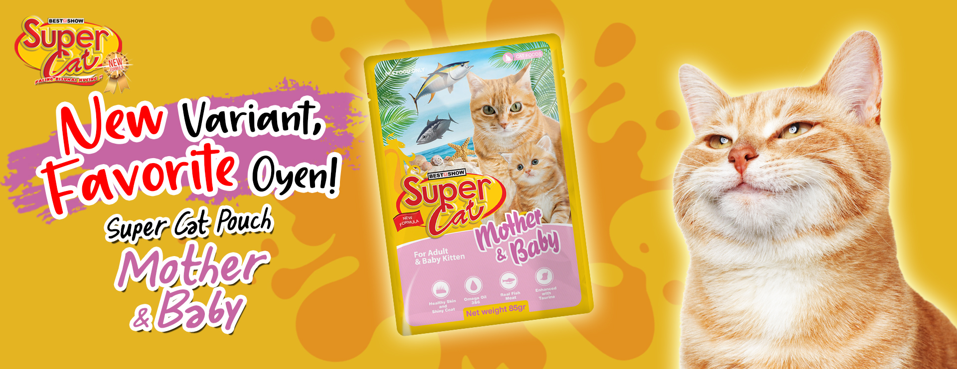 Banner - Cat - Best In Show - Best Pet Food For Your Pet