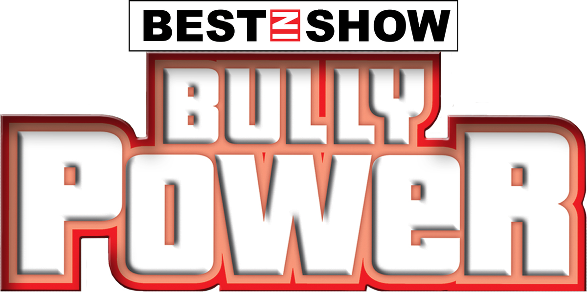 Bully Power