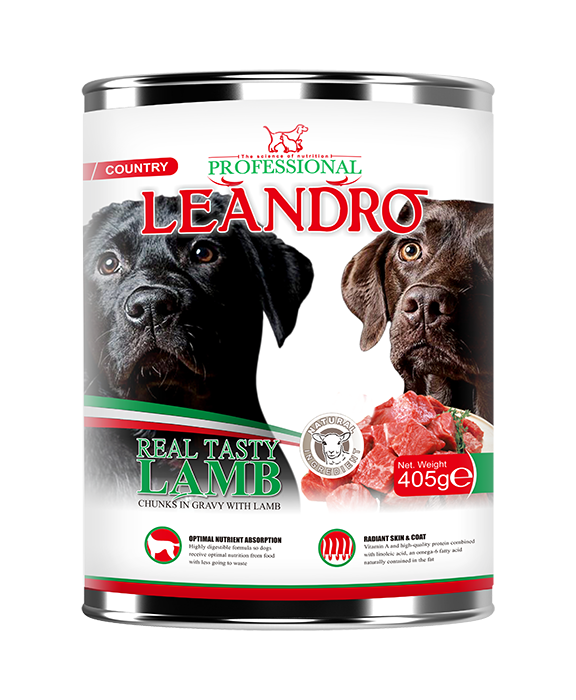 best lamb wet dog food